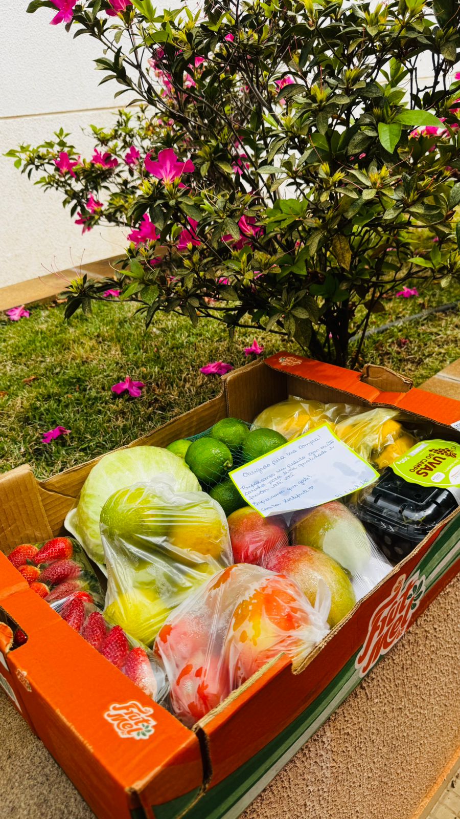 Caixa do Pede Coala com frutas e legumes fresquinhos, entregue em frente a um jardim florido
