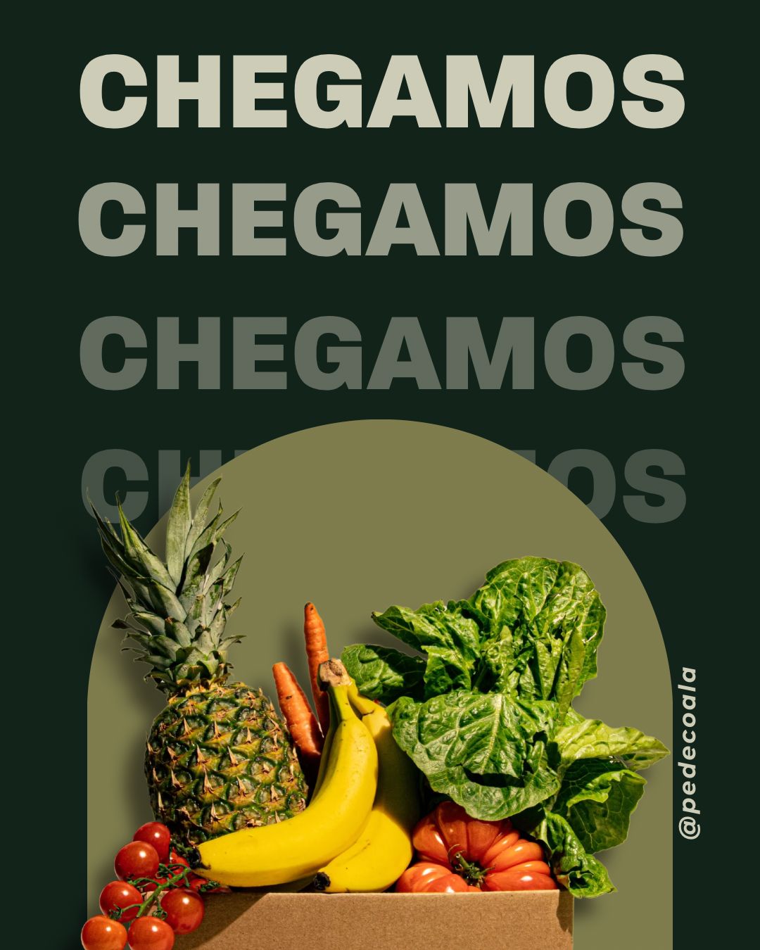 Post de lançamento do Pede Coala, escrito Chegamos