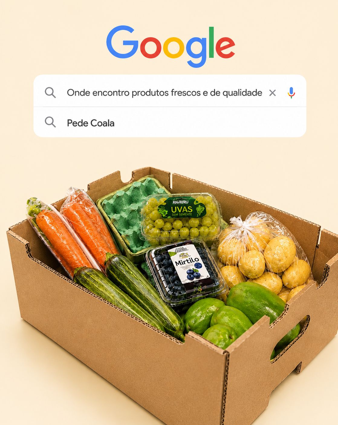 Ilustração de uma busca no Google pelo Pede Coala