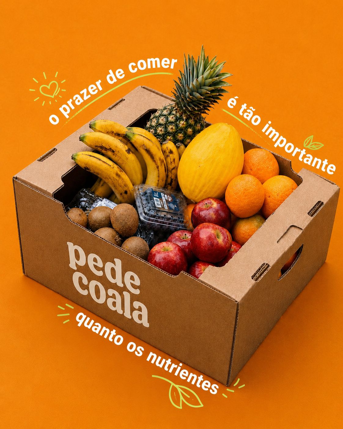 Caixa do Pede Coala cheia de frutas variadas, sobre fundo laranja